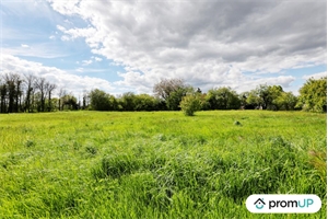 terrain à la vente -   18390  NOHANT EN GOUT, surface 1604 m2 vente terrain - UBI421763848
